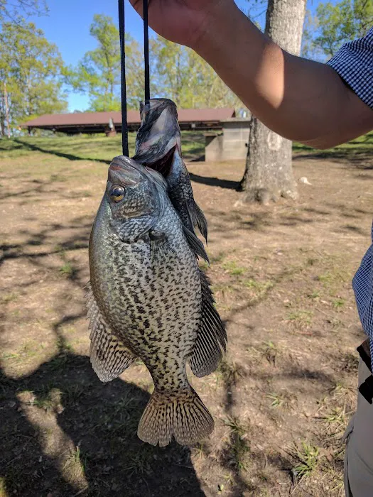 Moose Lodge Camping Grounds Picture 9