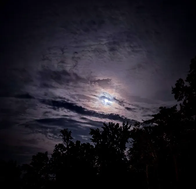 Salisbury Elks River Park Picture 3