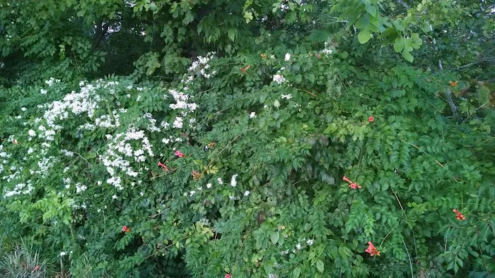 Interstate Campground Picture 9