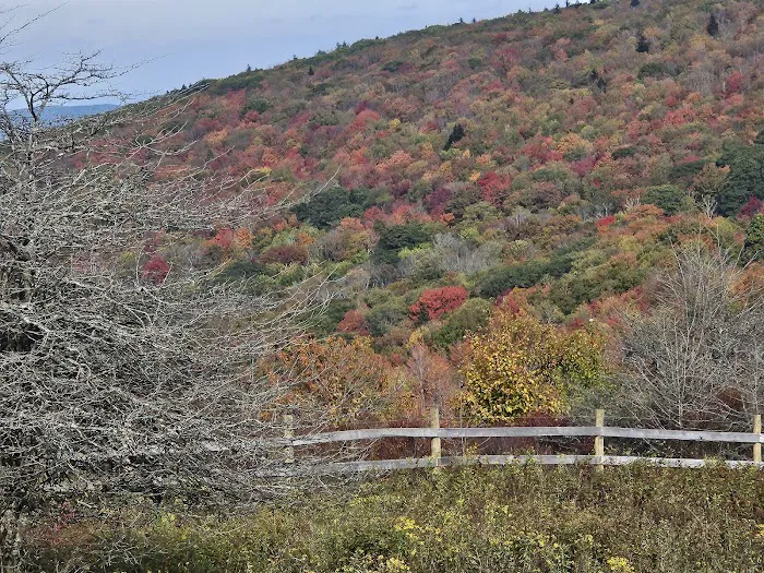 Fox Creek Horse Camp Picture 2