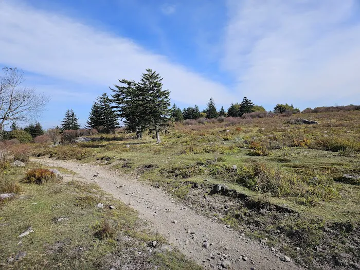 Fox Creek Horse Camp Picture 4