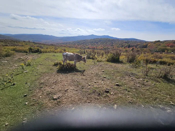 Fox Creek Horse Camp Picture 3