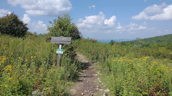 Scales Campground Picture 9