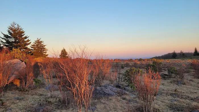 Scales Campground Picture 2