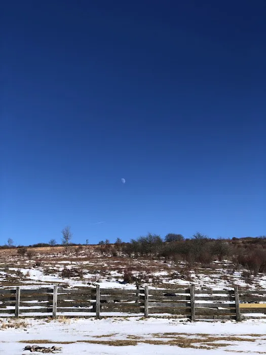 Scales Campground Picture 4