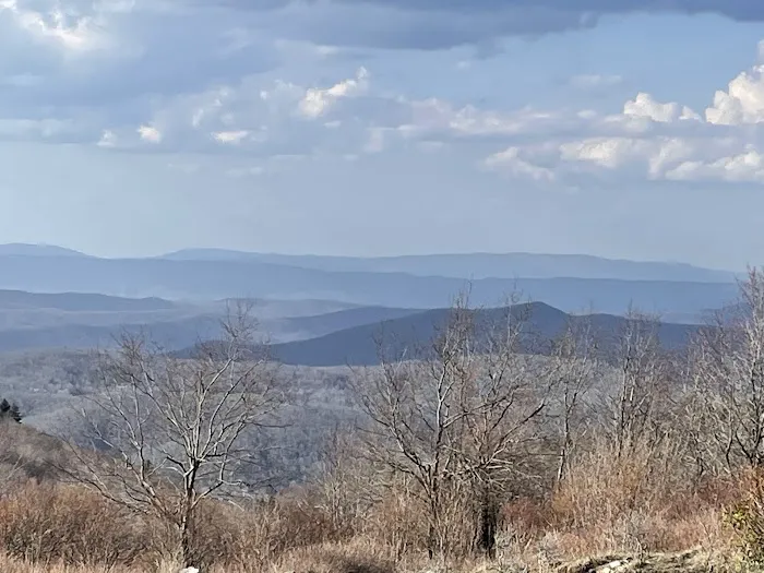 Scales Campground Picture 8