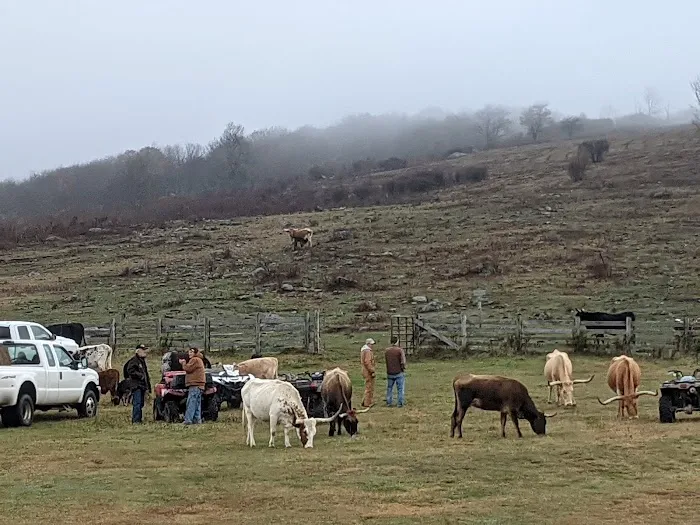 Scales Campground Picture 5