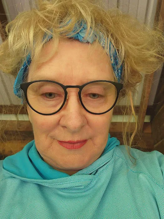 Wise Shelter Picture 3