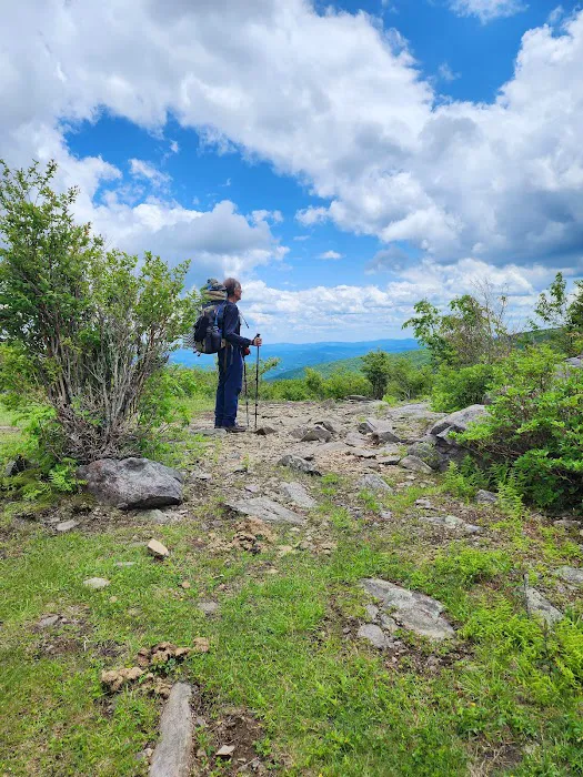 Wise Shelter Picture 4