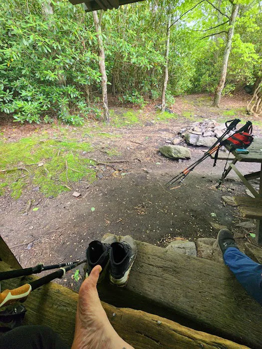 Wise Shelter Picture 8