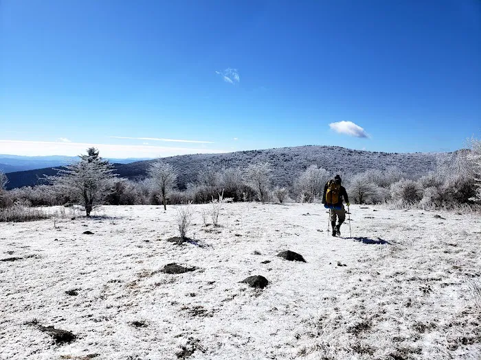 Wise Shelter Picture 6