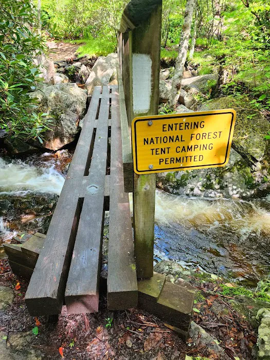 Wise Shelter Picture 5