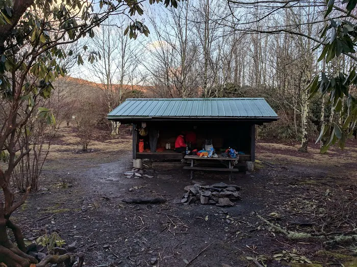 Wise Shelter Picture 7