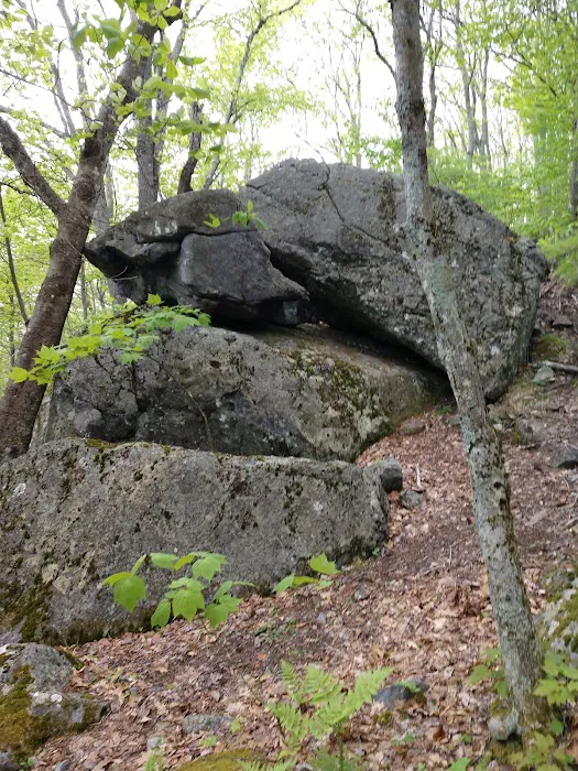 Hickory Ridge Campground Picture 5