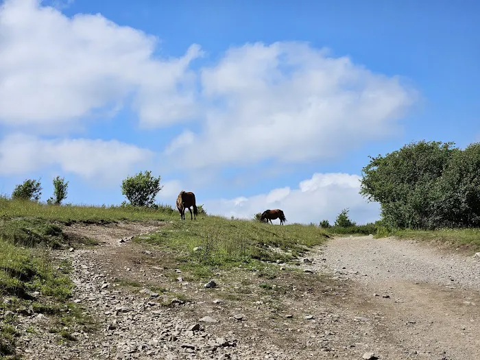 Hickory Ridge Campground Picture 1