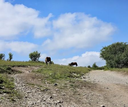 Hickory Ridge Campground