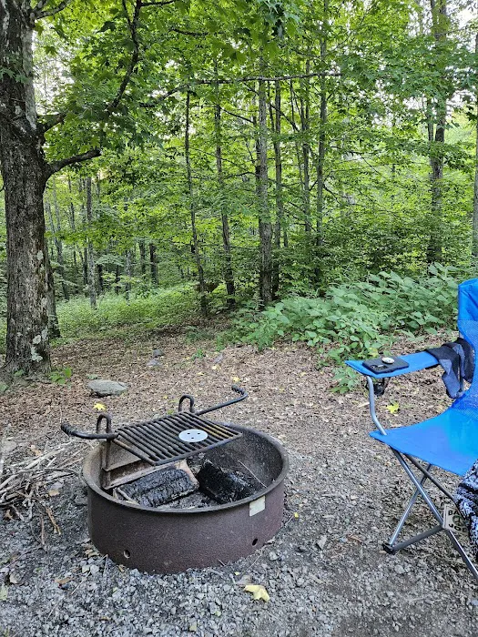 Hickory Ridge Campground Picture 4