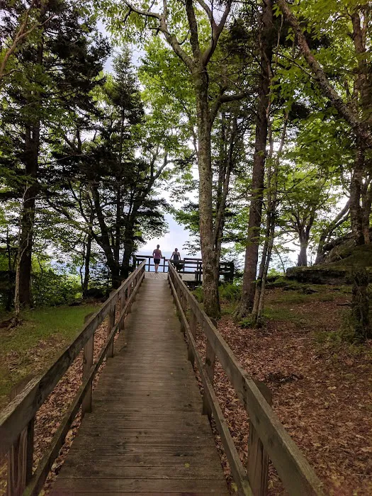 Grayson Highlands Campground Picture 2