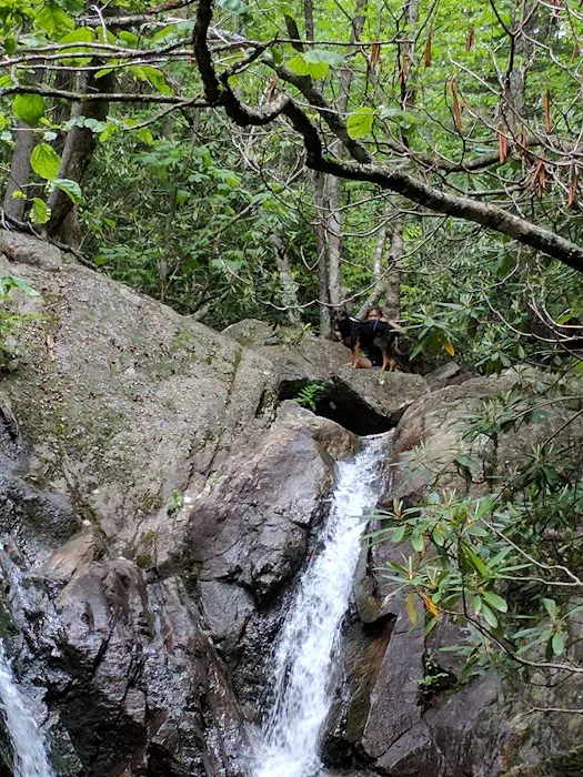 Grayson Highlands Campground Picture 3