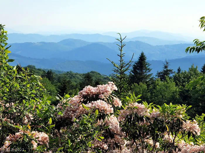 Grayson Highlands Campground Picture 8