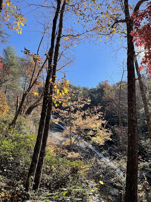 Stone Mountain State Park Group Site Picture 8