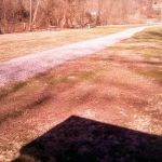 Sandy Creek Family Campground