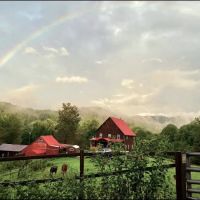 Babbling Brook Camping of Moravian Falls, NC ico