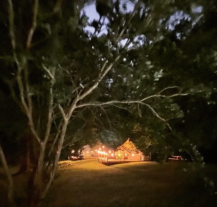 Wildwood Heart Farm, LLC Picture 4