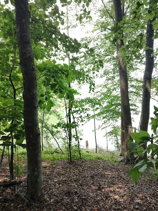 Warrior Creek Campground Picture 4