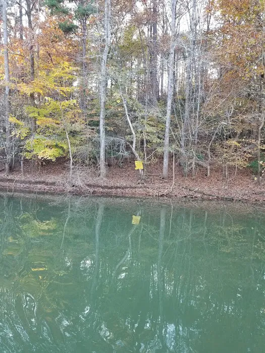 Lake Lookout Campground Picture 4
