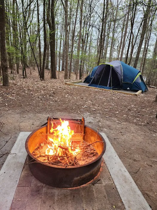 Lake Norman State Park Campground Picture 7
