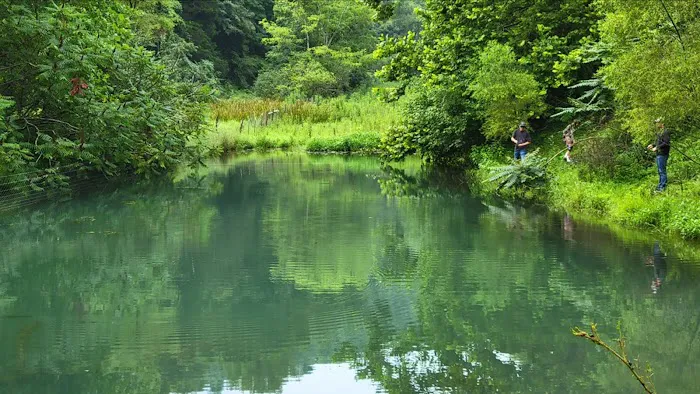 A-Frame @ Spenceville Farms Picture 9