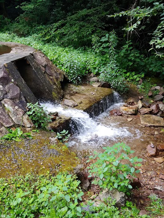 Grindstone Campground Picture 10