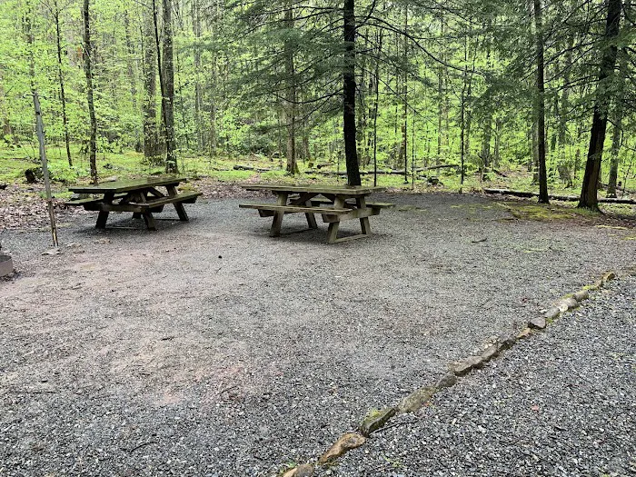 Grindstone Campground Picture 7