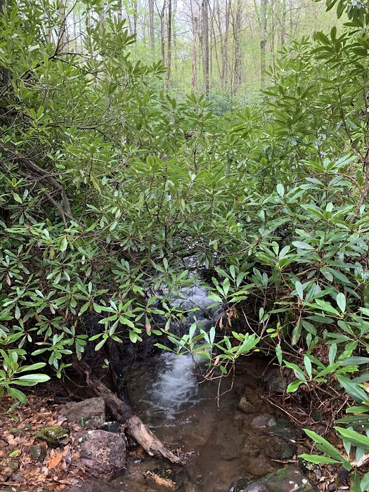 Grindstone Campground Picture 5