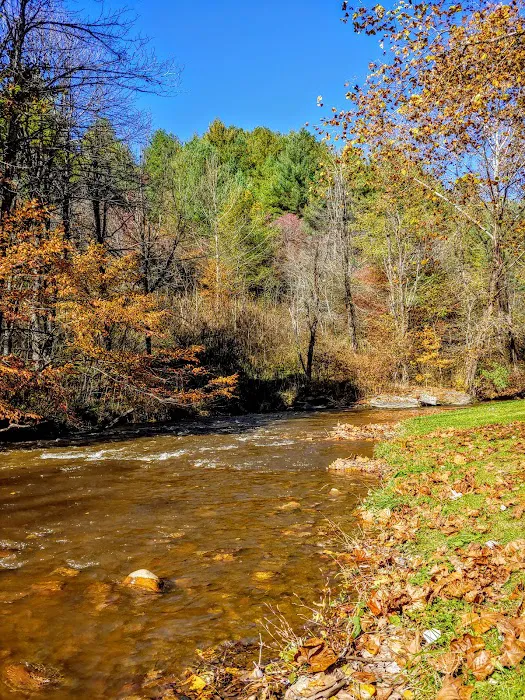 Helton Creek Campground Picture 7