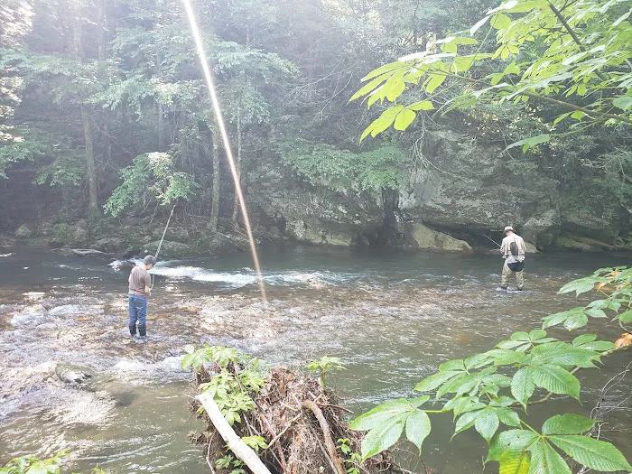Helton Creek Campground Picture 9