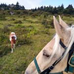 Chestnut Hollow Campground