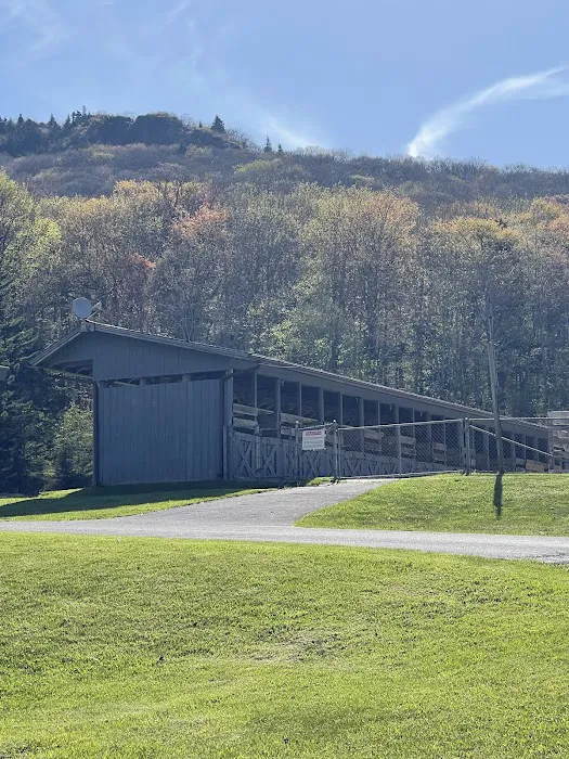 Chestnut Hollow Campground Picture 9