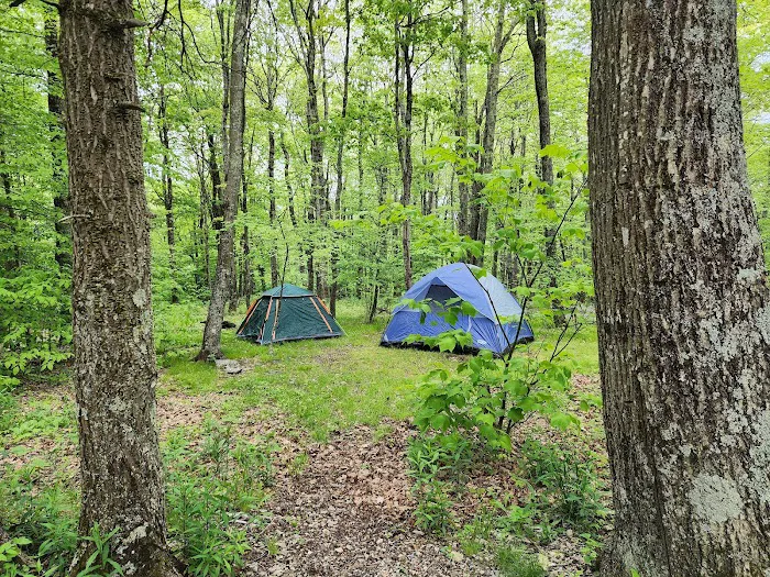 Chestnut Hollow Campground Picture 6