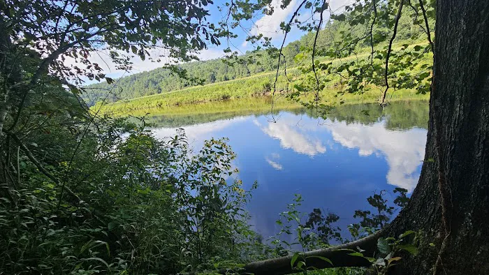 New River State Park, Wagoner Access Rd. Picture 9