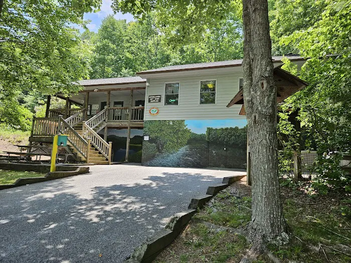 New River State Park, Wagoner Access Rd. Picture 6