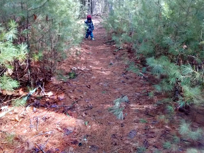 Raccoon Holler Campground Picture 7