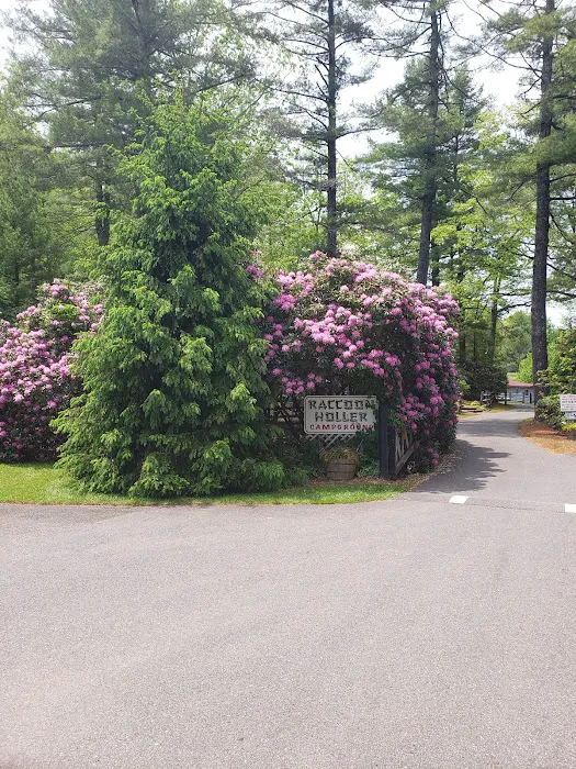 Raccoon Holler Campground Picture 6