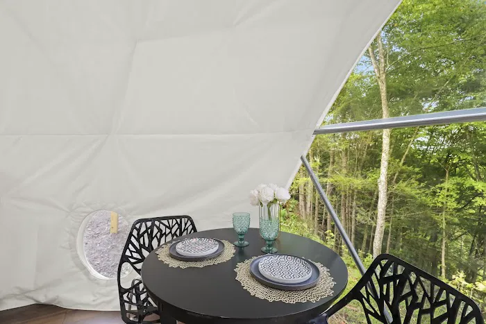 Dreamy Dome Home Picture 8