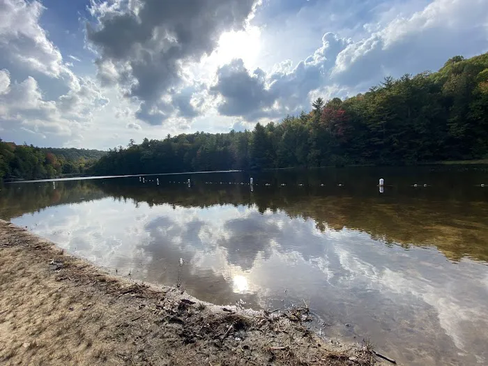 Beartree Campground Picture 1