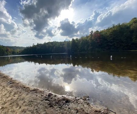 Beartree Campground