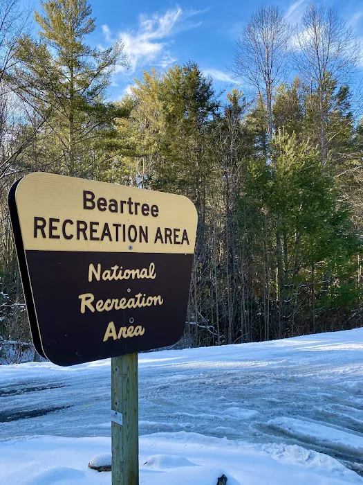 Beartree Campground Picture 10