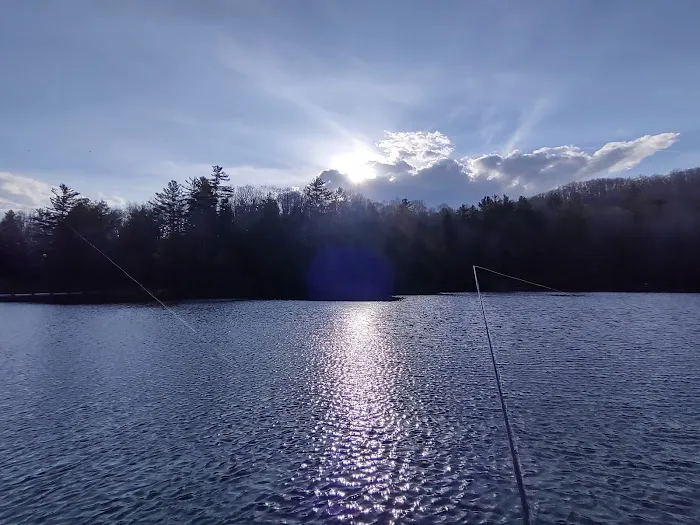 Beartree Campground Picture 3