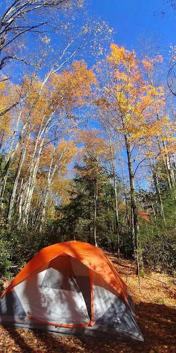 Beartree Campground Picture 9